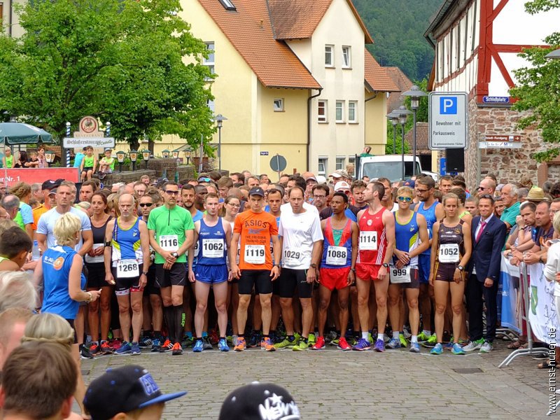 stadtlauf2017__099.jpg