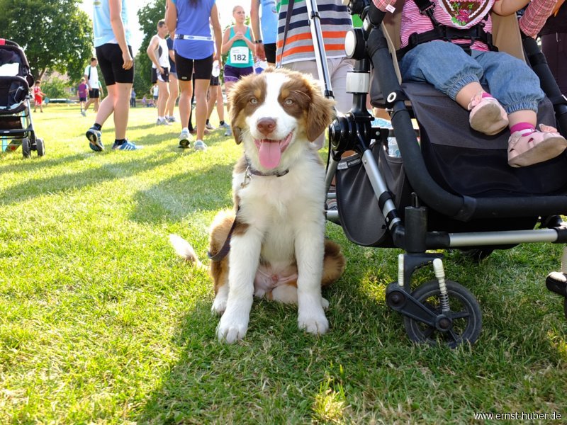 buchentallauf__201.jpg