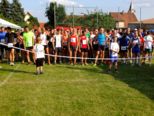 buchentallauf__210.jpg