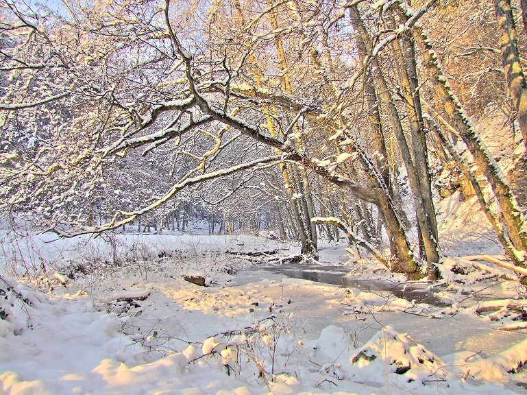 Das eiskalte Buchental am 20. 12. 2009