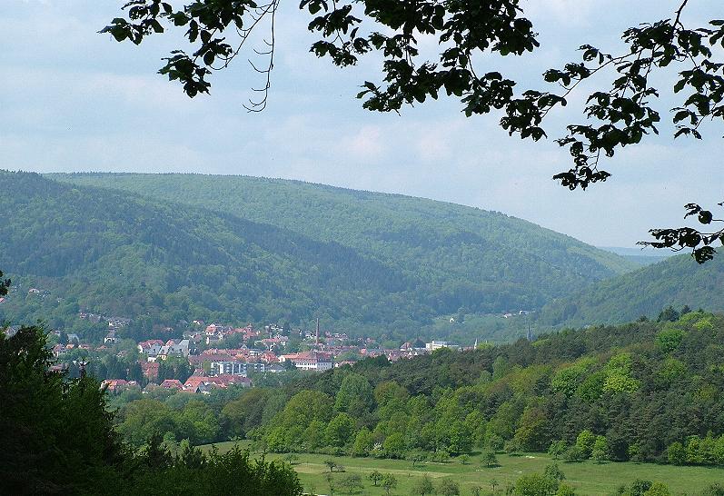 Blick von der Emmas Ruh auf Lohr a. Main