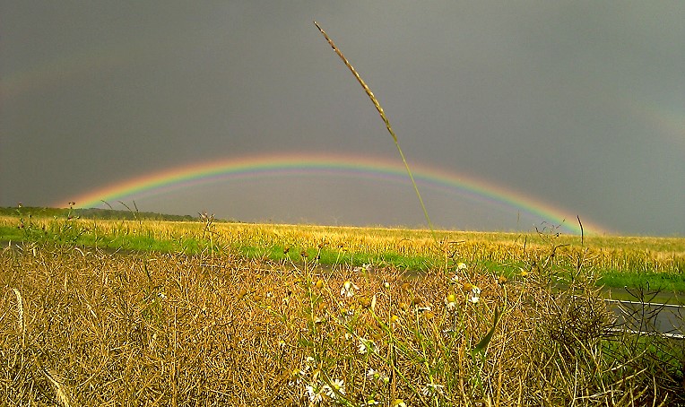 Regenbogen zwischen Waldzell und Ansbach