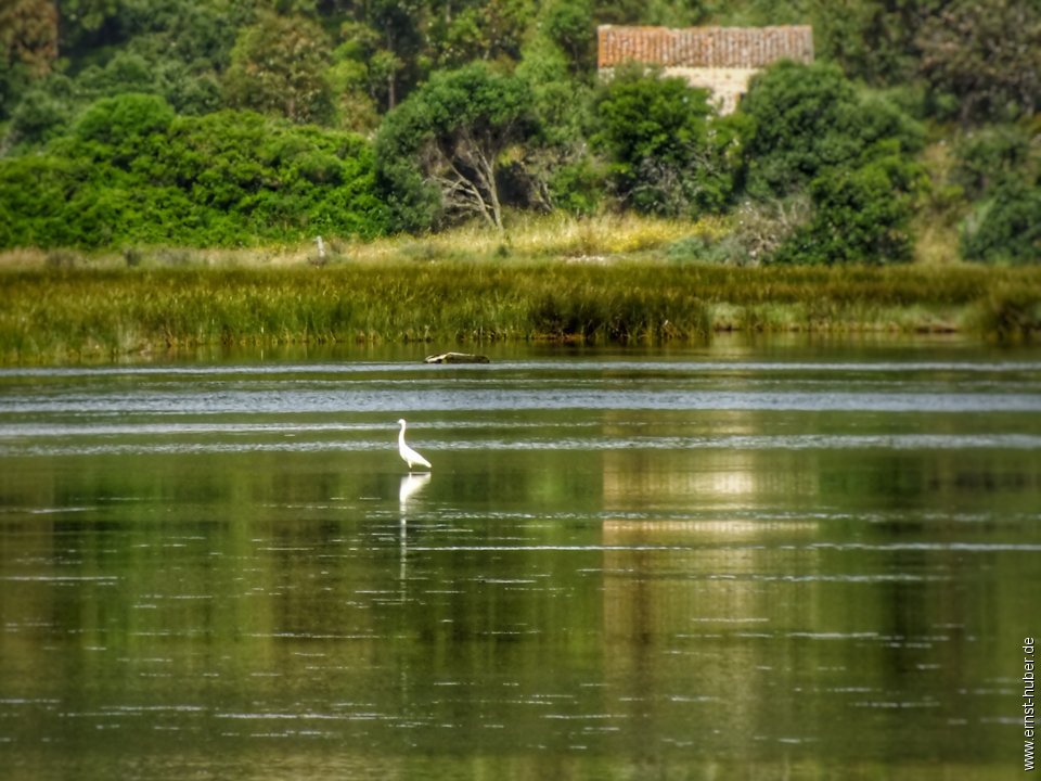 sardinien2018_074.jpg