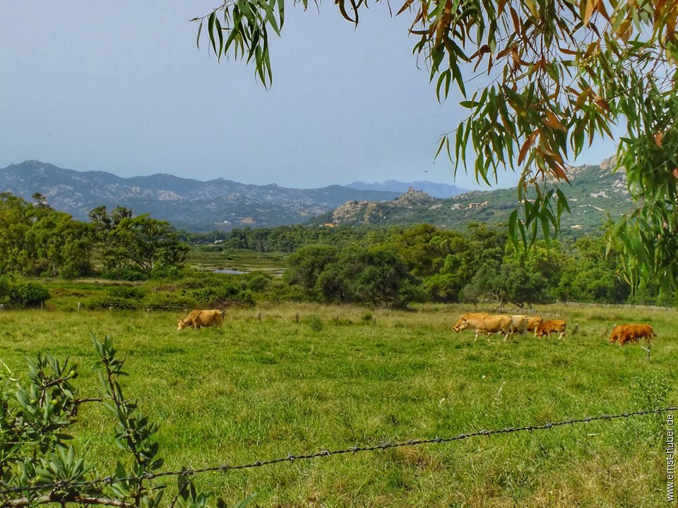 sardinien2018_081.jpg