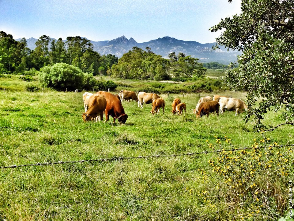 sardinien2018_082.jpg