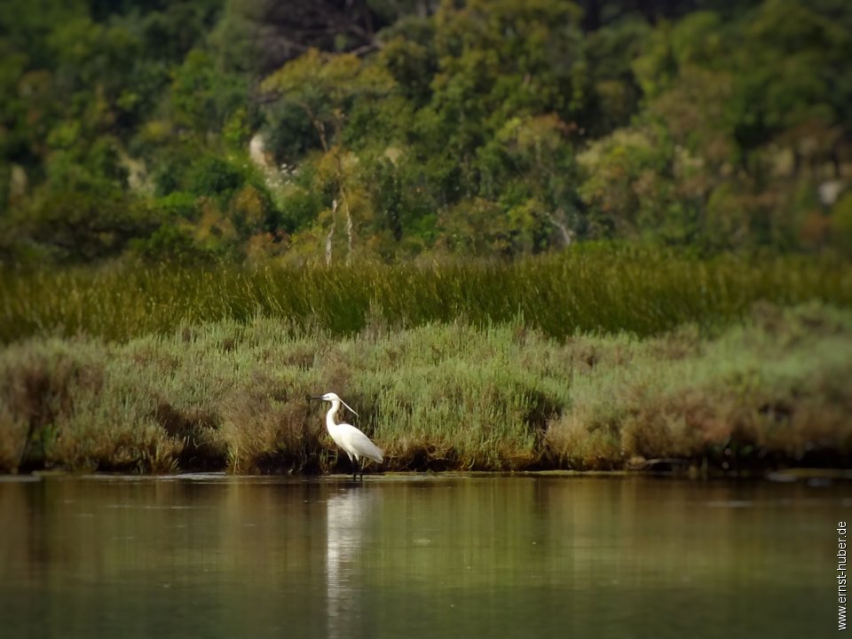 sardinien2018_088.jpg