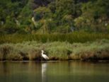 sardinien2018_088.jpg