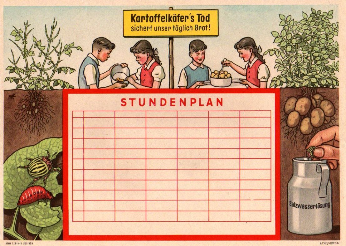 „Kartoffelkäfers's Tod sichert unser täglich Brot“, Stundenplan-Vordruck um 1950 für die Schulen in der DDR