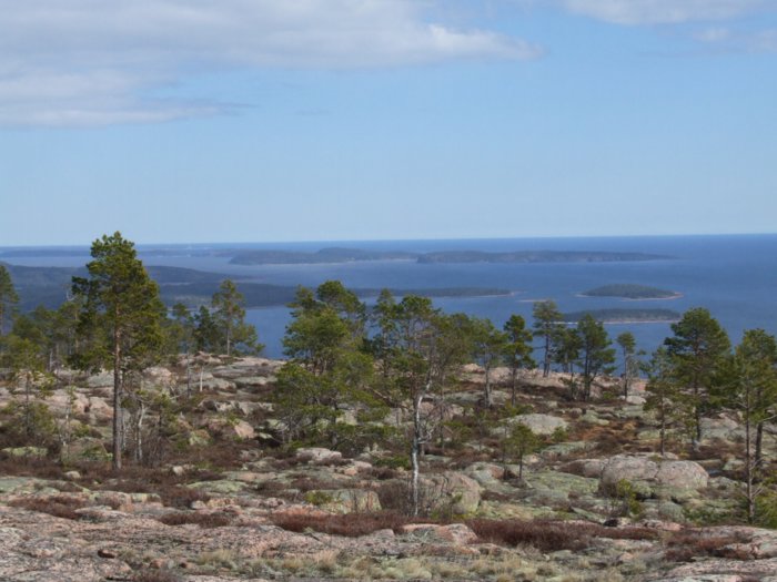 oerndskoldsvik_09__225.jpg