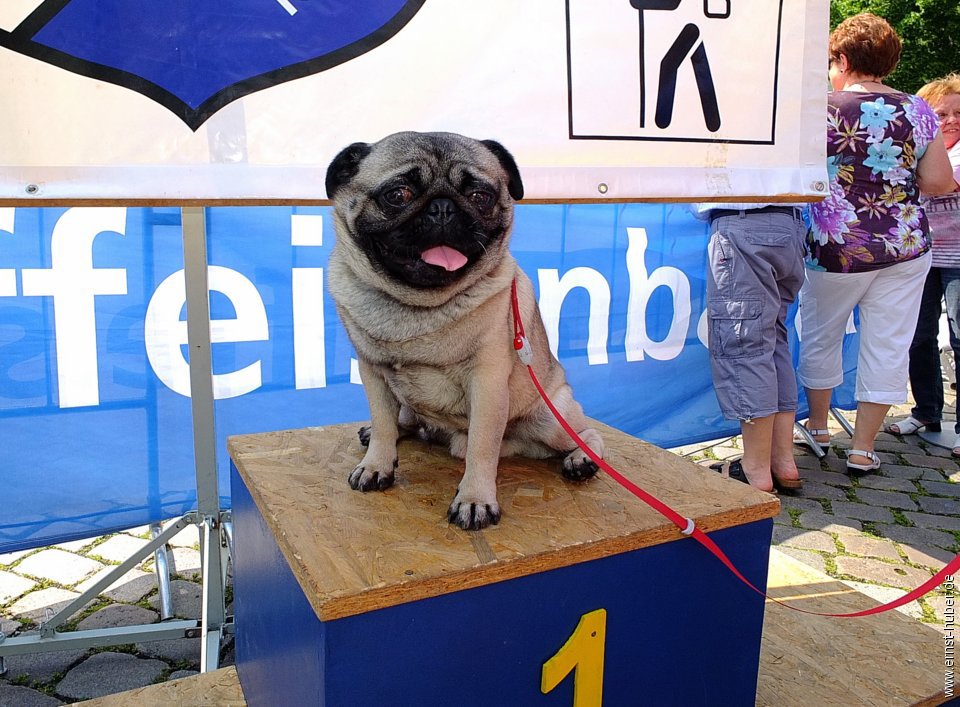 altstadtlauf2016__394.jpg