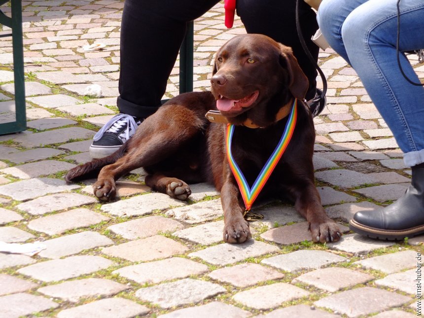 stadtlauf2023__422.jpg