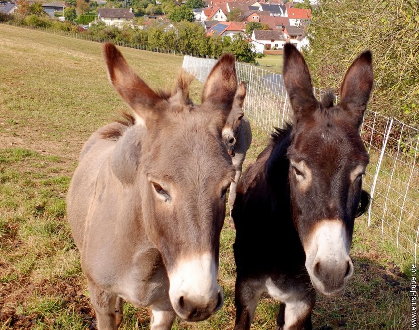 bierwanderung__020.jpg