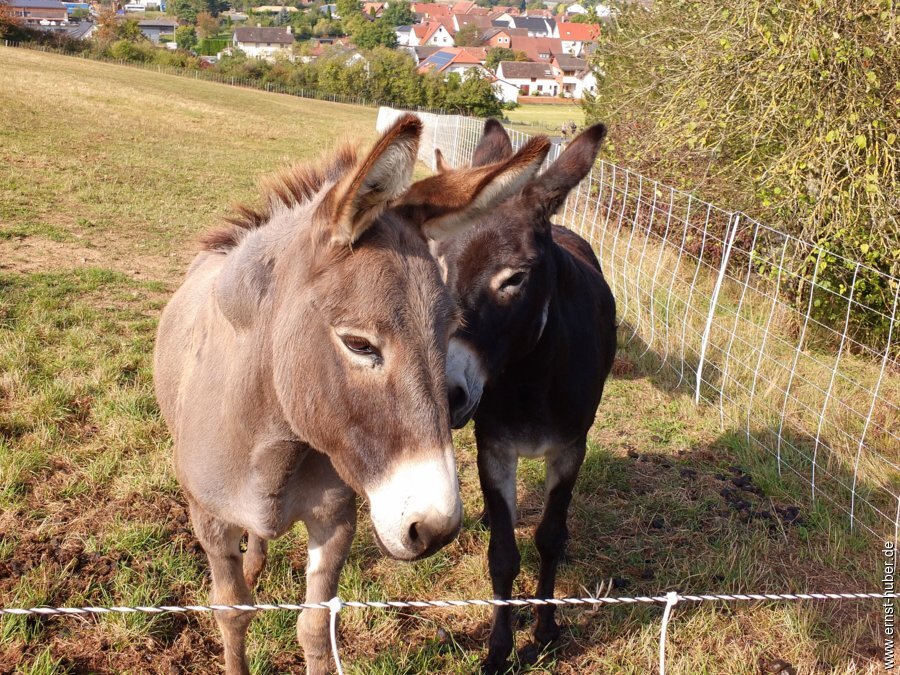 bierwanderung__021.jpg