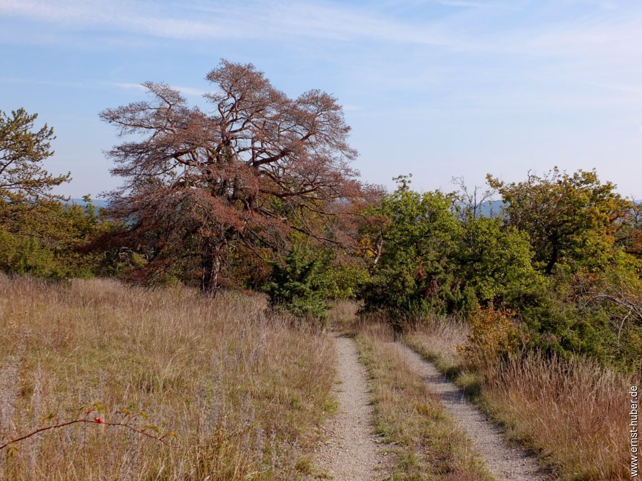 bierwanderung__075.jpg