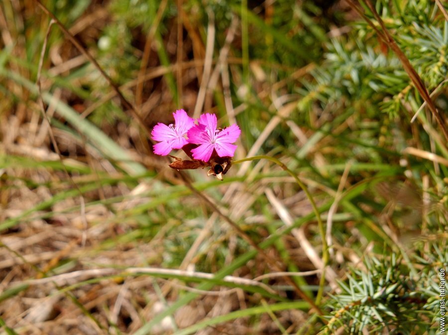 bierwanderung__078.jpg