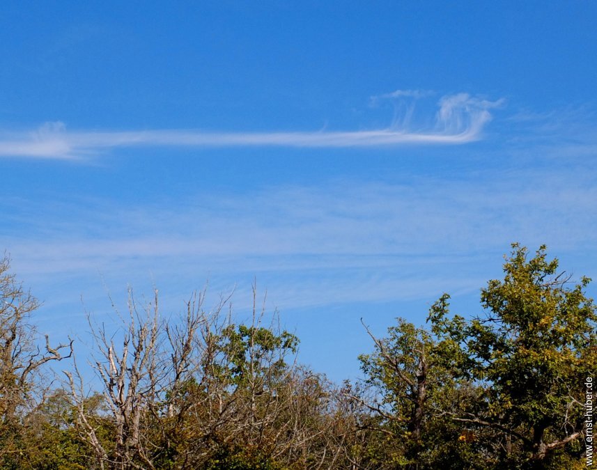 bierwanderung__092.jpg