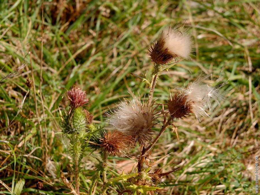 bierwanderung__099.jpg