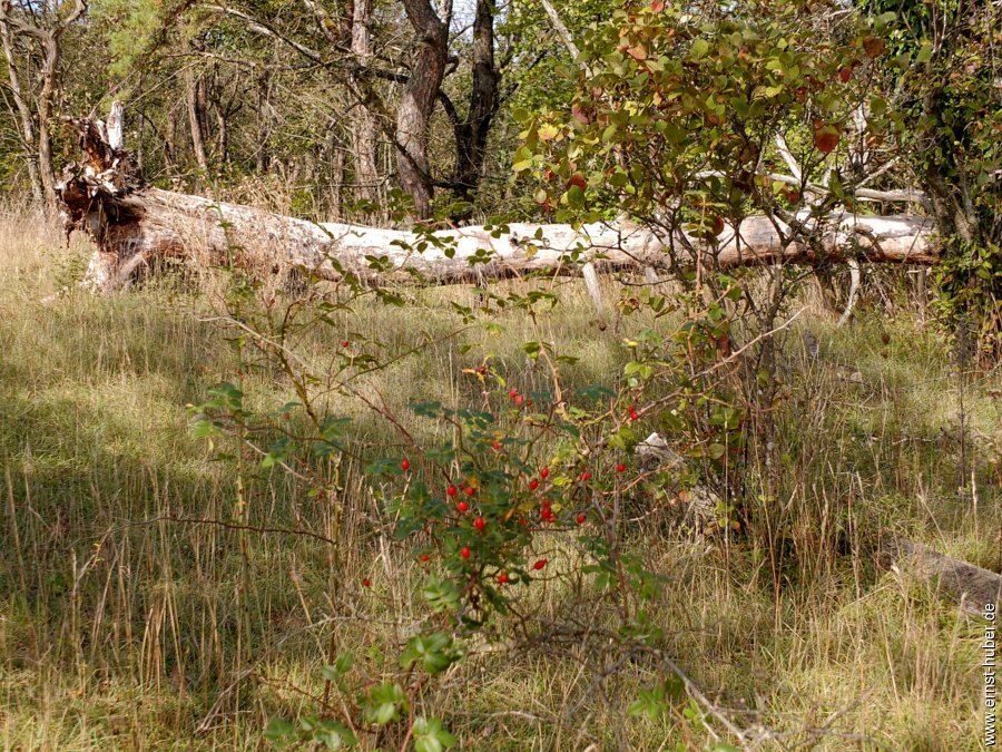 bierwanderung__103.jpg