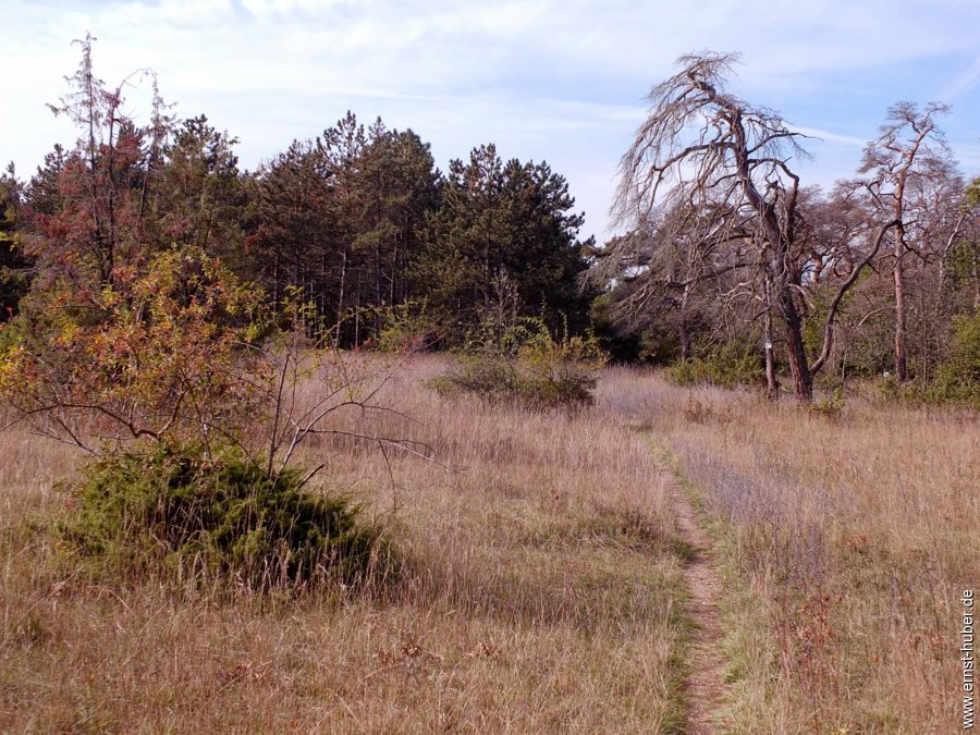 bierwanderung__107.jpg