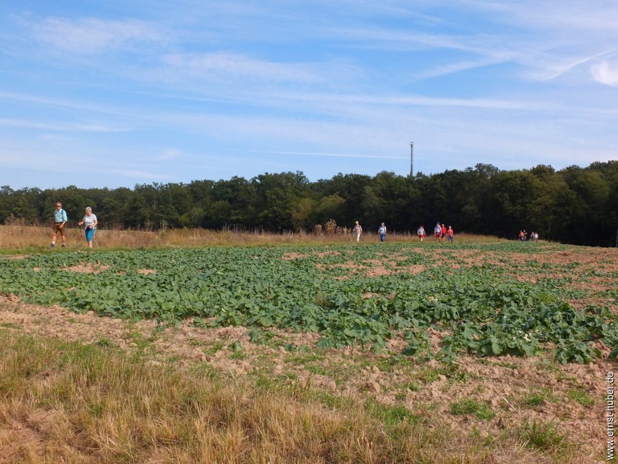 bierwanderung__185.jpg