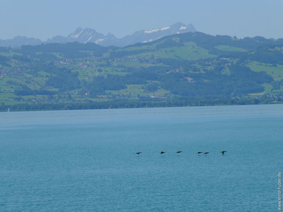 bregenz_107.jpg