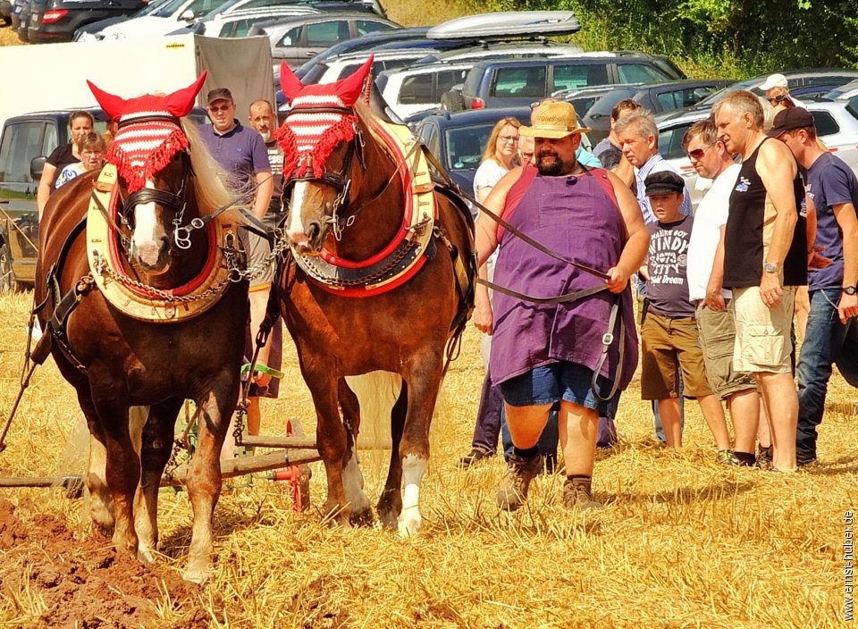 bulldogtreffen2016__219.jpg