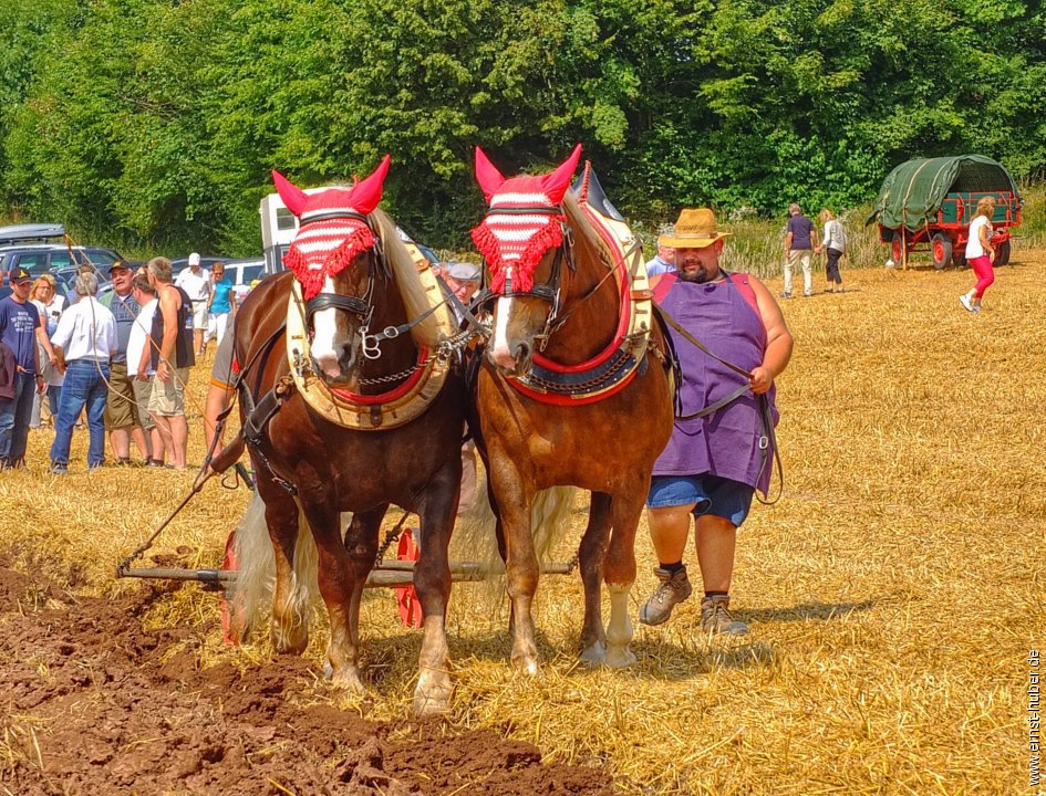 bulldogtreffen2016__222.jpg