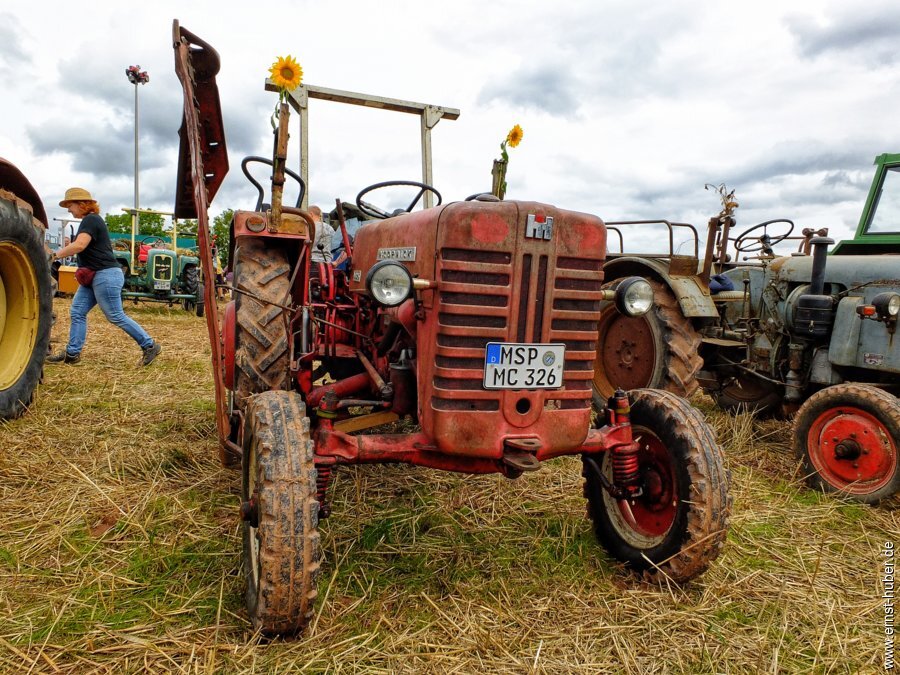 bulldogtreffen2023__356-01.jpg