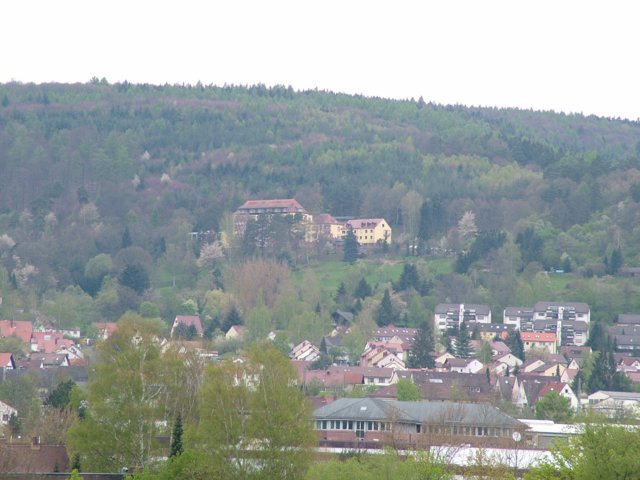 franziskus_034.jpg