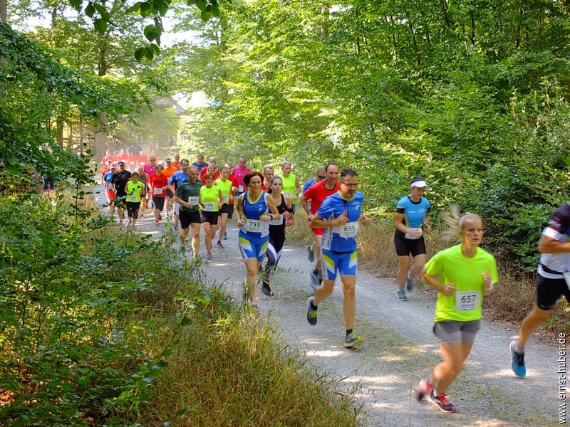 glasmacherlauf2019__132.jpg