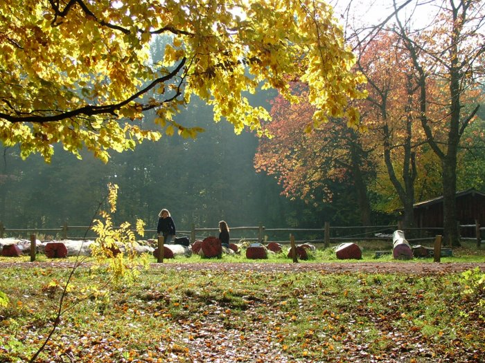 herbst2008__094.jpg