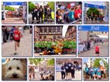 33stadtlauf2023collage.jpg