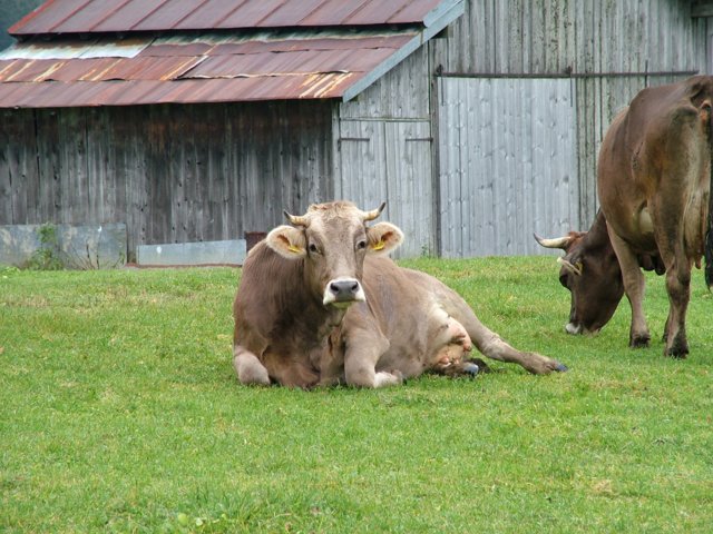 oberstdorf014.jpg