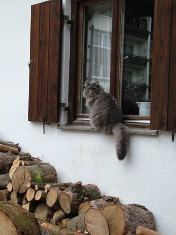 oberstdorf015.jpg