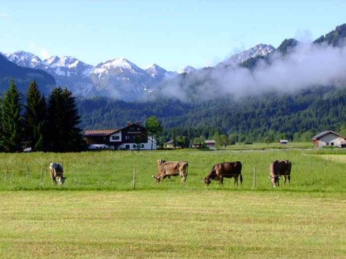 oberstdorf_08_06_09_021.jpg