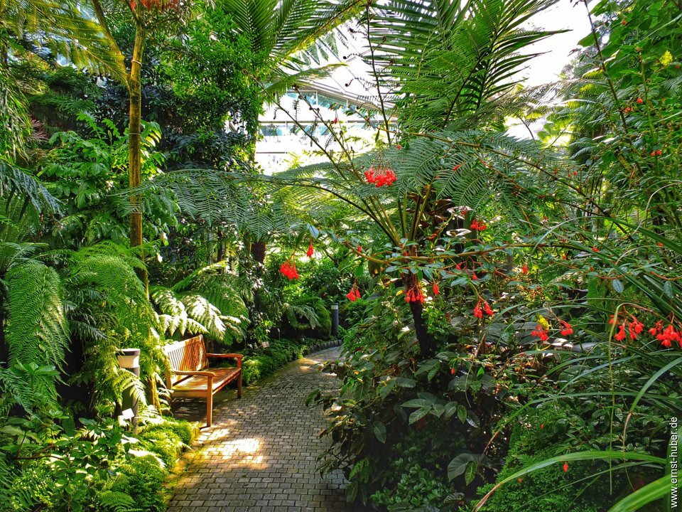 palmengarten__241.jpg