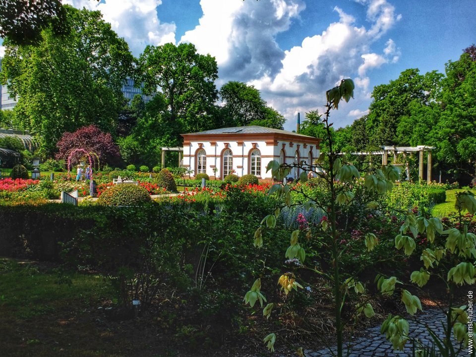 palmengarten__360.jpg