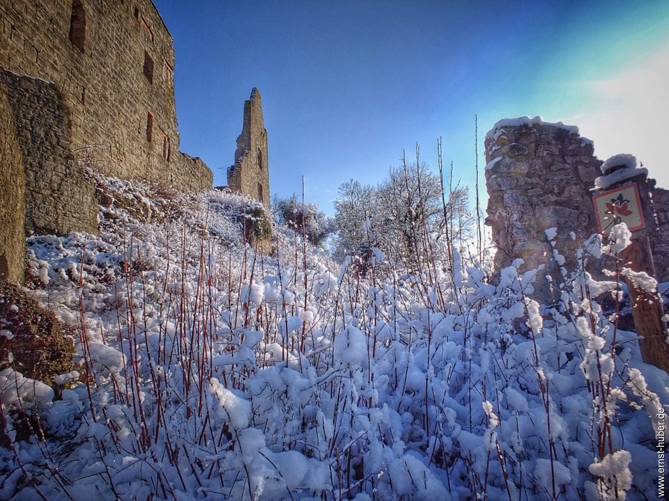 ruine_homburg_264.jpg