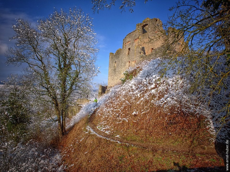 ruine_homburg_308.jpg