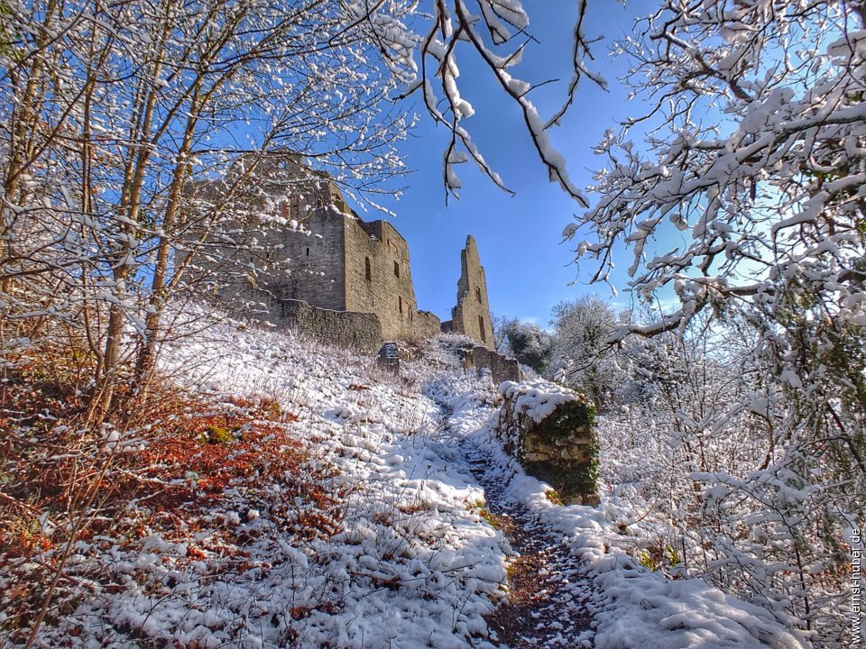 ruine_homburg_309.jpg