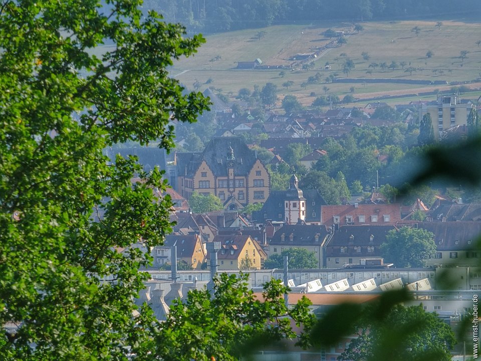 lohr26082019__255.jpg