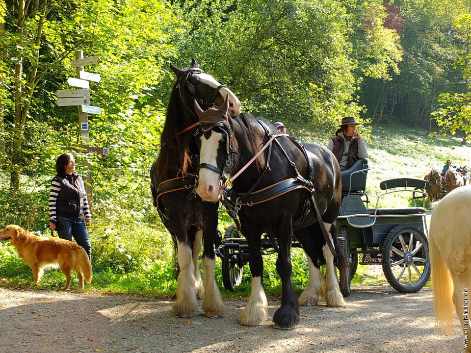 tiersegnung2015__194.jpg