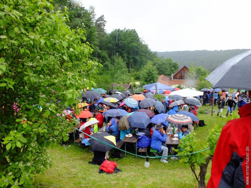 weinwandertag_156.jpg