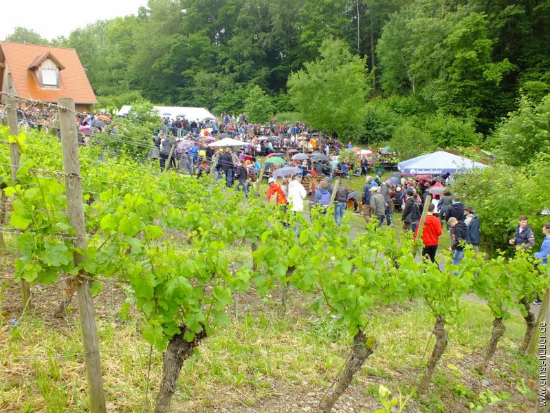 weinwandertag_199.jpg